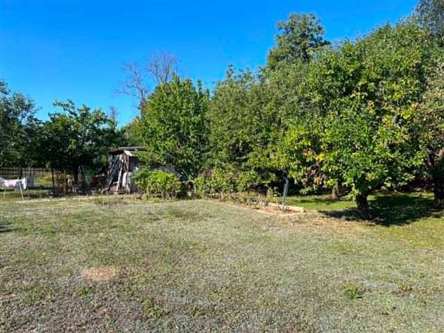 foto 23 [23/28]