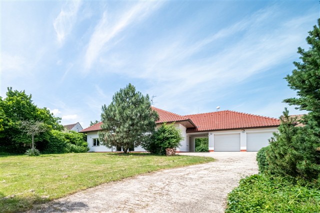 čelní pohled [10/89]